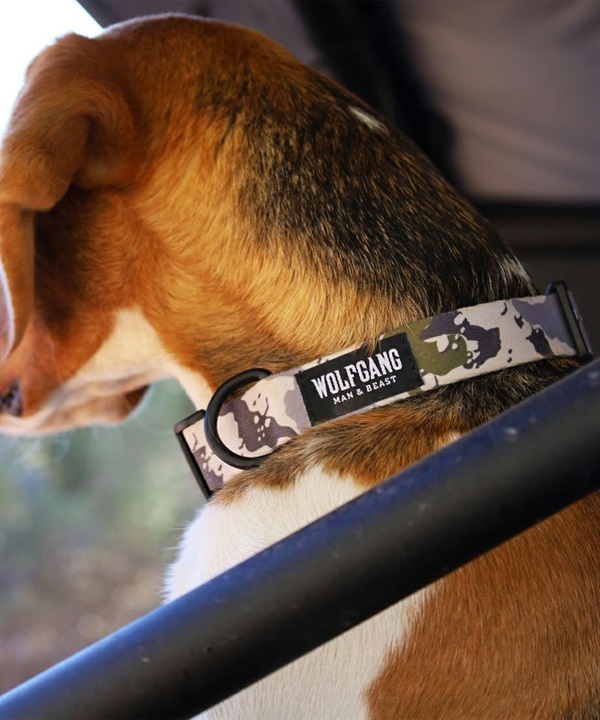 WOLFGANG ウルフギャング 犬用 首輪 HideOut Collar Mサイズ 小型犬用 中型犬用 ハイドアウト カラー 迷彩柄 グレー系 WC-002-74
