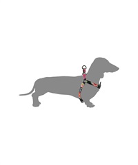 WOLFGANG ウルフギャング 犬用 ハーネス DarkFloral HARNESS Sサイズ 超小型犬用 小型犬用 胴輪 ダークフローラル 花柄 ブラック WH-001-00(BK-S)