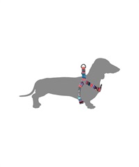 WOLFGANG ウルフギャング 犬用 ハーネス Quetzal HARNESS Sサイズ 超小型犬用 小型犬用 胴輪 ケツァール マルチカラー WH-001-07(MULTI-S)