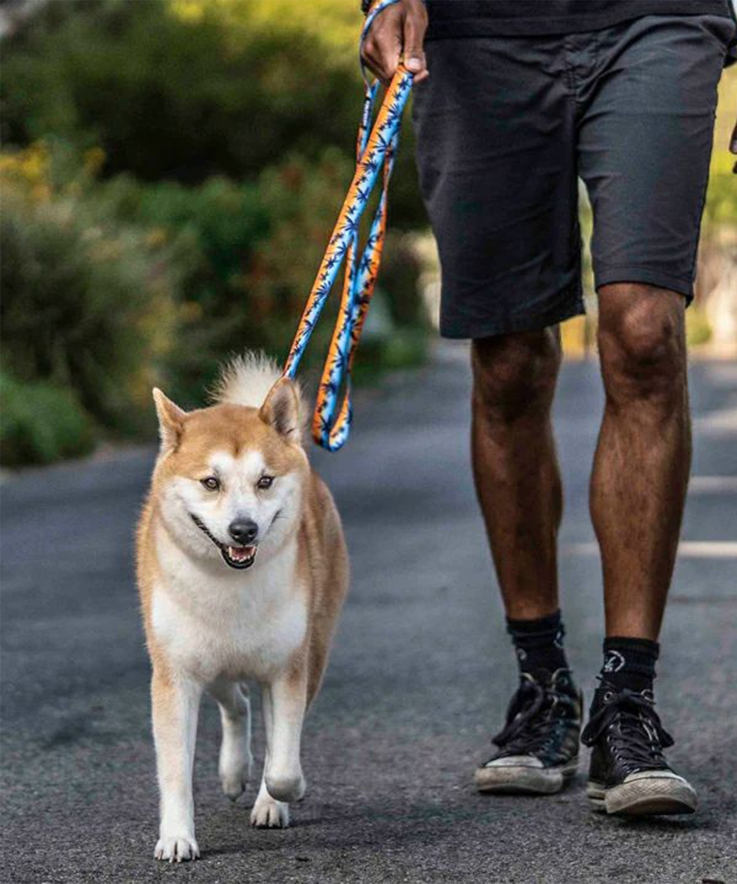 WOLFGANG ウルフギャング 犬用 リード SunsetPalms Leash Sサイズ 小型犬用 サンセットパームス リーシュ ブルー×オレンジ WL-001-86(BL-S)