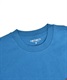 Carhartt WIP カーハートダブリューアイピー S/S AMERICAN SCRIPT T-SHIRT I029956 メンズ 半袖 Tシャツ KK2 D24(BLGD-M)