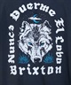 BRIXTON ブリクストン メンズ 半袖 Tシャツ バックプリント ヴィンテージ風 17082(BKWOW-M)