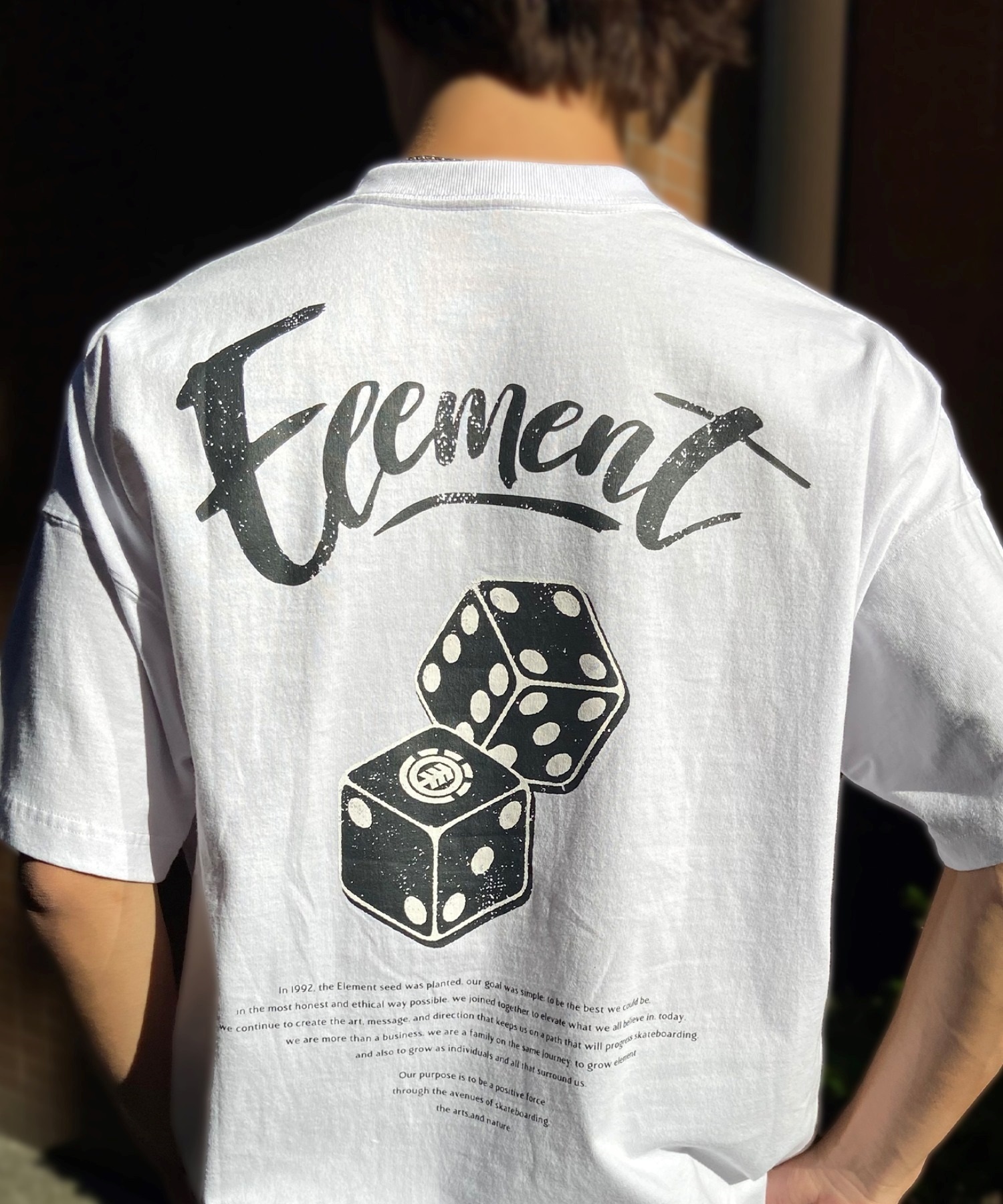 ELEMENT エレメント メンズ 半袖 Tシャツ オーバーサイズ ダイスロゴ バックプリント サイコロモチーフ ヴィンテージ風 かすれプリント BE021-252(FBK-M)