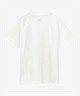 THE NORTH FACE ザ・ノース・フェイス レディース ショートスリーブスモールボックスロゴティー 半袖 Tシャツ ホワイト NTW32445 W(W-S)
