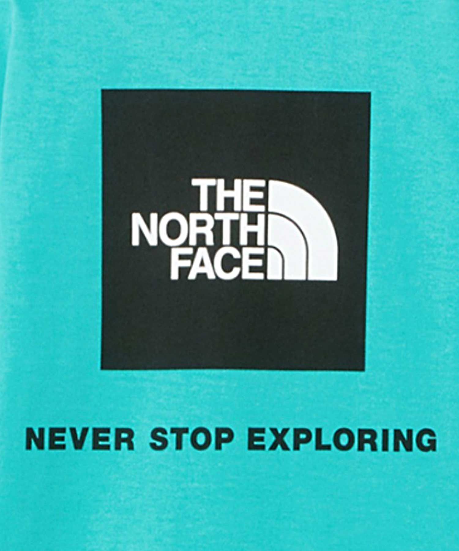 【マトメガイ対象】THE NORTH FACE ザ・ノース・フェイス キッズ ジュニア 半袖 Tシャツ BACK SQUARE LOGO TEE NTJ32333 100cm～150cm(GA-100cm)