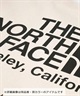 THE NORTH FACE/ザ・ノース・フェイス Organic Cotton Tote オーガニックコットントート NM82260 トートバッグ JJ3 J24(NG-F)