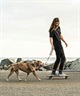 WOLFGANG ウルフギャング 犬用 リード RetroFit LEASH Mサイズ 中型犬用 大型犬用 レトロフィット リーシュ マルチカラー WL-002-78(MULTI-M)