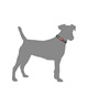 WOLFGANG ウルフギャング 犬用 首輪 RetroFit COLLAR Sサイズ 超小型犬用 小型犬用 レトロフィット カラー マルチカラー WC-001-78(MULTI-S)