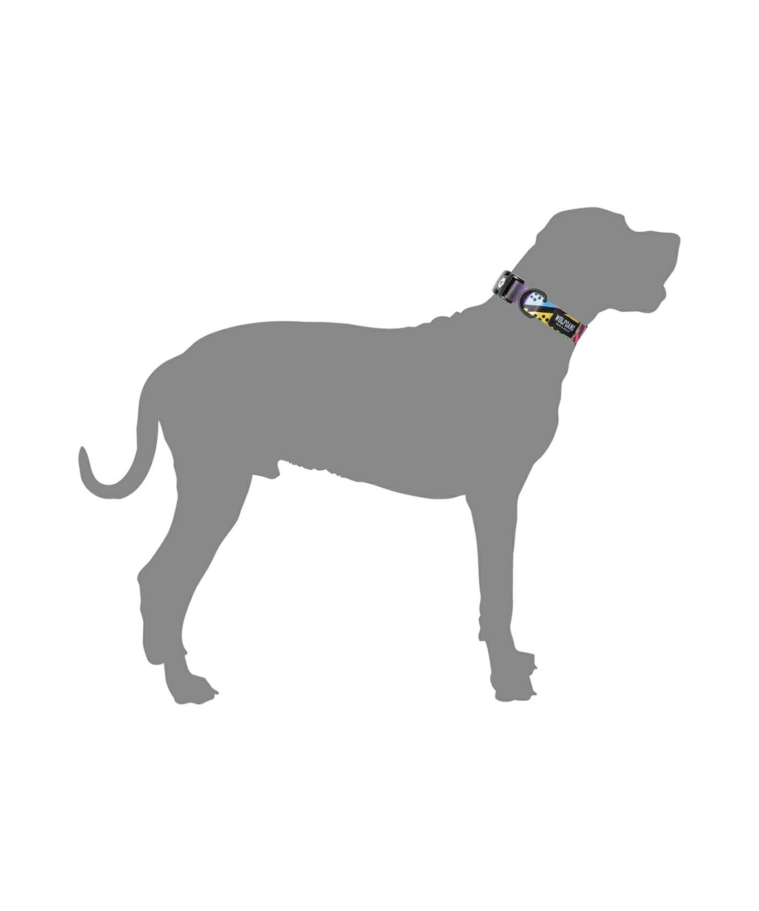 WOLFGANG ウルフギャング 犬用 首輪 RetroFit COLLAR Mサイズ 小型犬用 中型犬用 レトロフィット カラー マルチカラー WC-002-78(MULTI-M)