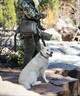 WOLFGANG ウルフギャング 犬用 首輪 GrandView COLLAR Sサイズ 超小型犬用 小型犬用 グランドビュー カラー マルチカラー WC-001-02(MULTI-S)