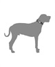 WOLFGANG ウルフギャング 犬用 首輪 GrandView COLLAR Mサイズ 小型犬用 中型犬用 グランドビュー カラー マルチカラー WC-002-02(MULTI-M)