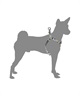 WOLFGANG ウルフギャング 犬用 ハーネス GrandView HARNESS Mサイズ 小型犬用 中型犬用 胴輪 グランドビュー マルチカラー WH-002-02(MULTI-M)