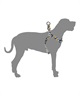 WOLFGANG ウルフギャング 犬用 ハーネス GrandView HARNESS Lサイズ 中型犬用 大型犬用 胴輪 グランドビュー マルチカラー WH-003-02(MULTI-L)