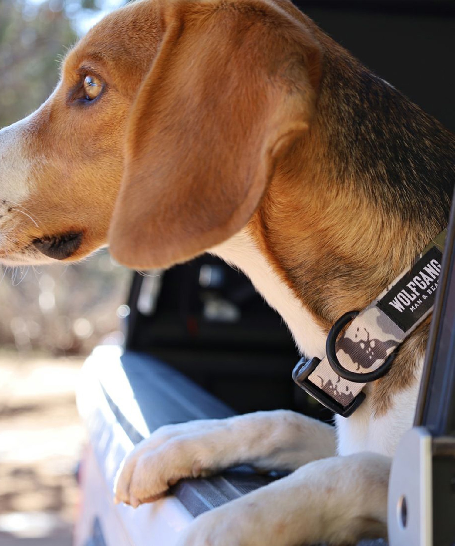 WOLFGANG ウルフギャング 犬用 首輪 HideOut Collar Sサイズ 超小型犬用 小型犬用 ハイドアウト カラー 迷彩柄 グレー系 WC-001-74(CAMO-S)