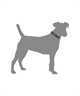 WOLFGANG ウルフギャング 犬用 首輪 Quetzal COLLAR Sサイズ 超小型犬用 小型犬用 ケツァール カラー マルチカラー WC-001-07(MULTI-S)