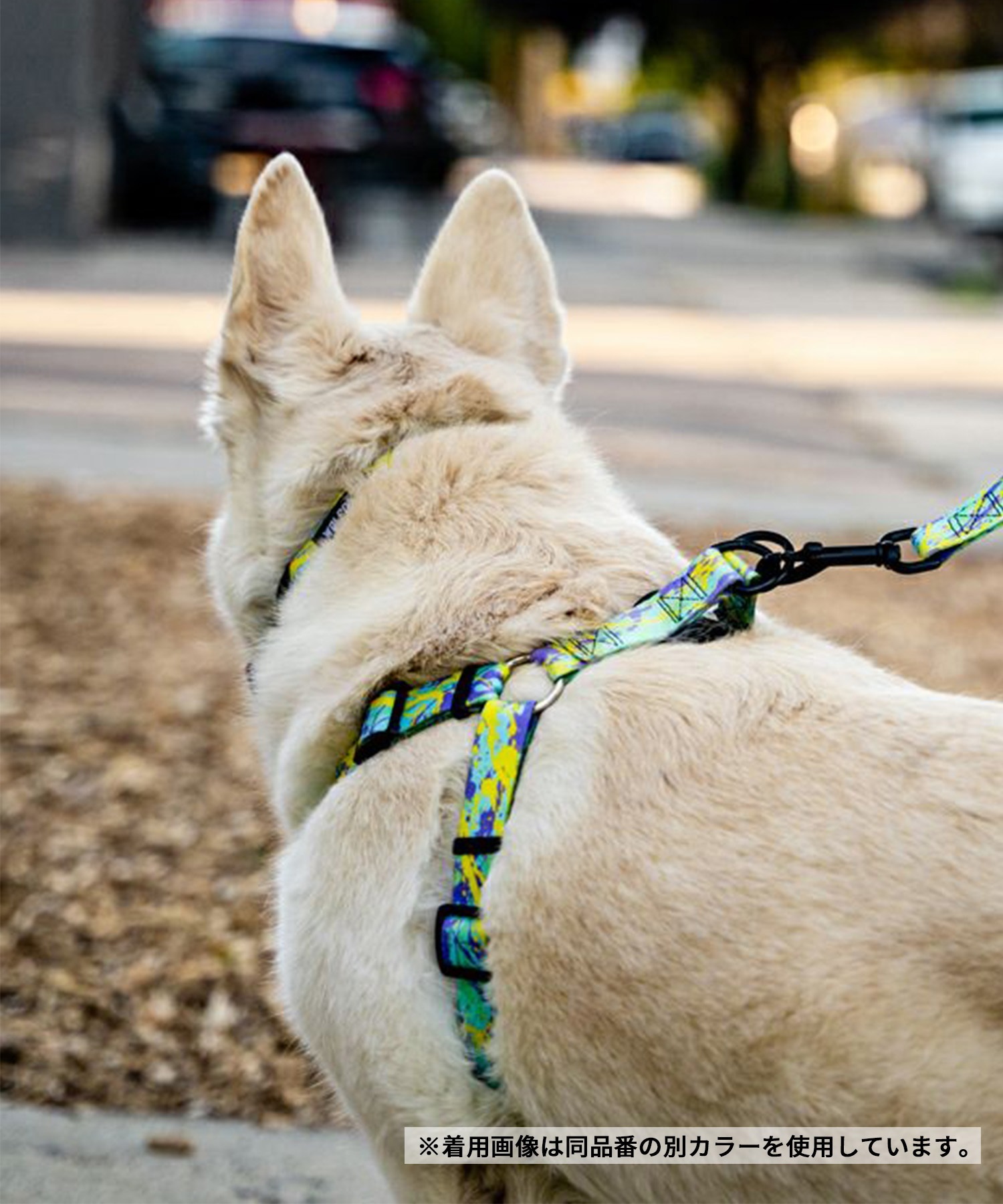 WOLFGANG ウルフギャング 犬用 ハーネス SunsetPalms Harness Mサイズ 小型犬用 中型犬用 胴輪 サンセットパームス ブルー×オレンジ WH-002-86(BL-M)
