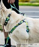 WOLFGANG ウルフギャング 犬用 ハーネス DigiFloral Harness Mサイズ 小型犬用 中型犬用 胴輪 デジフローラル ピンク系 WH-002-96(PK-M)