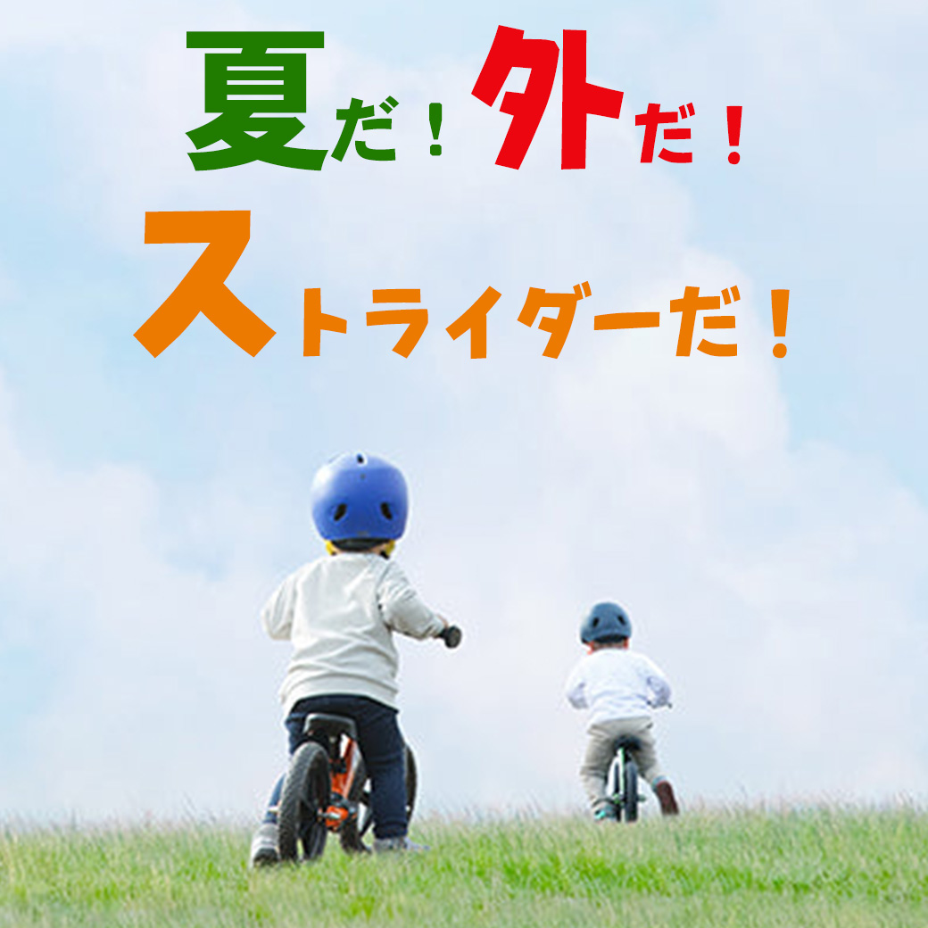 Skate Banner