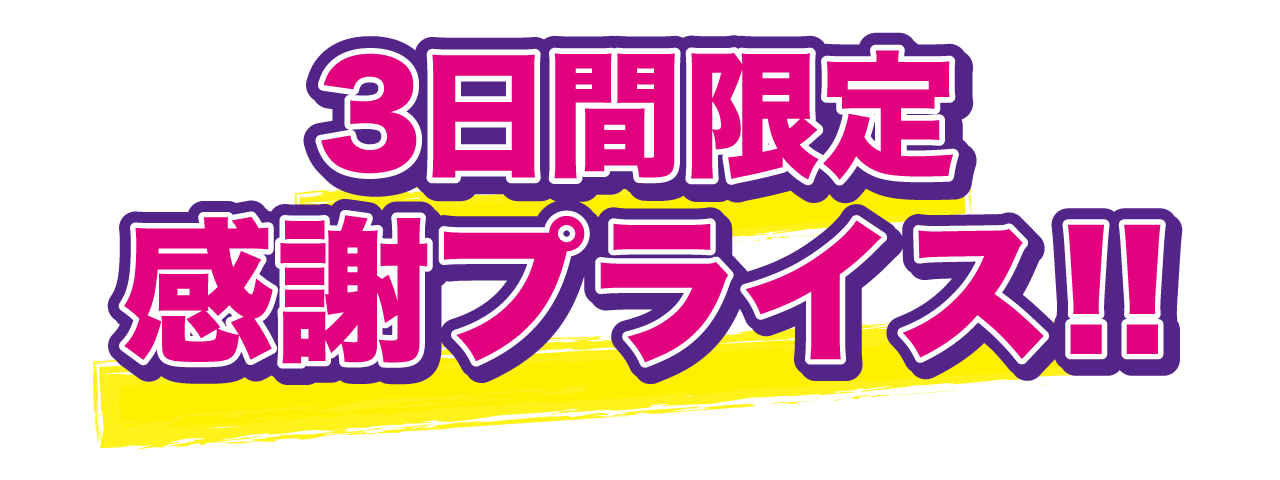 3日間限定感謝プライス