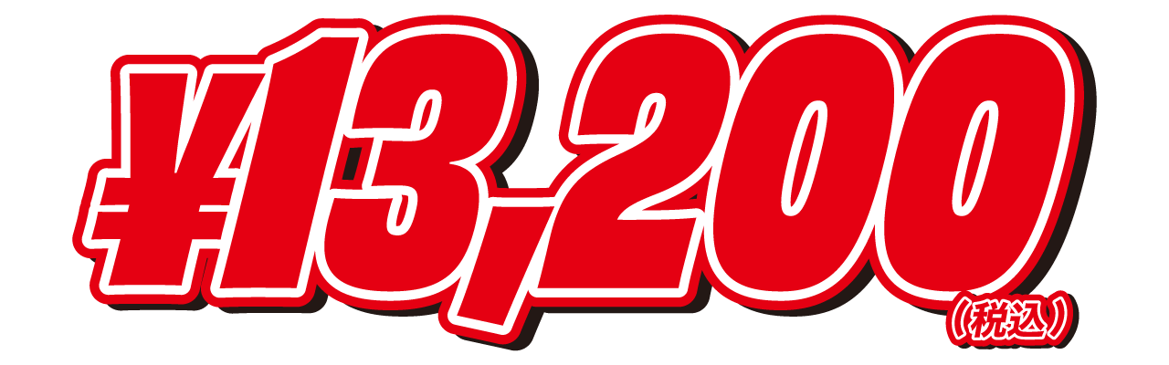 13,200円