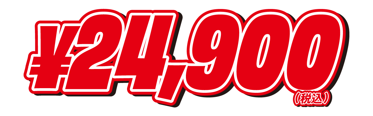 24,900円