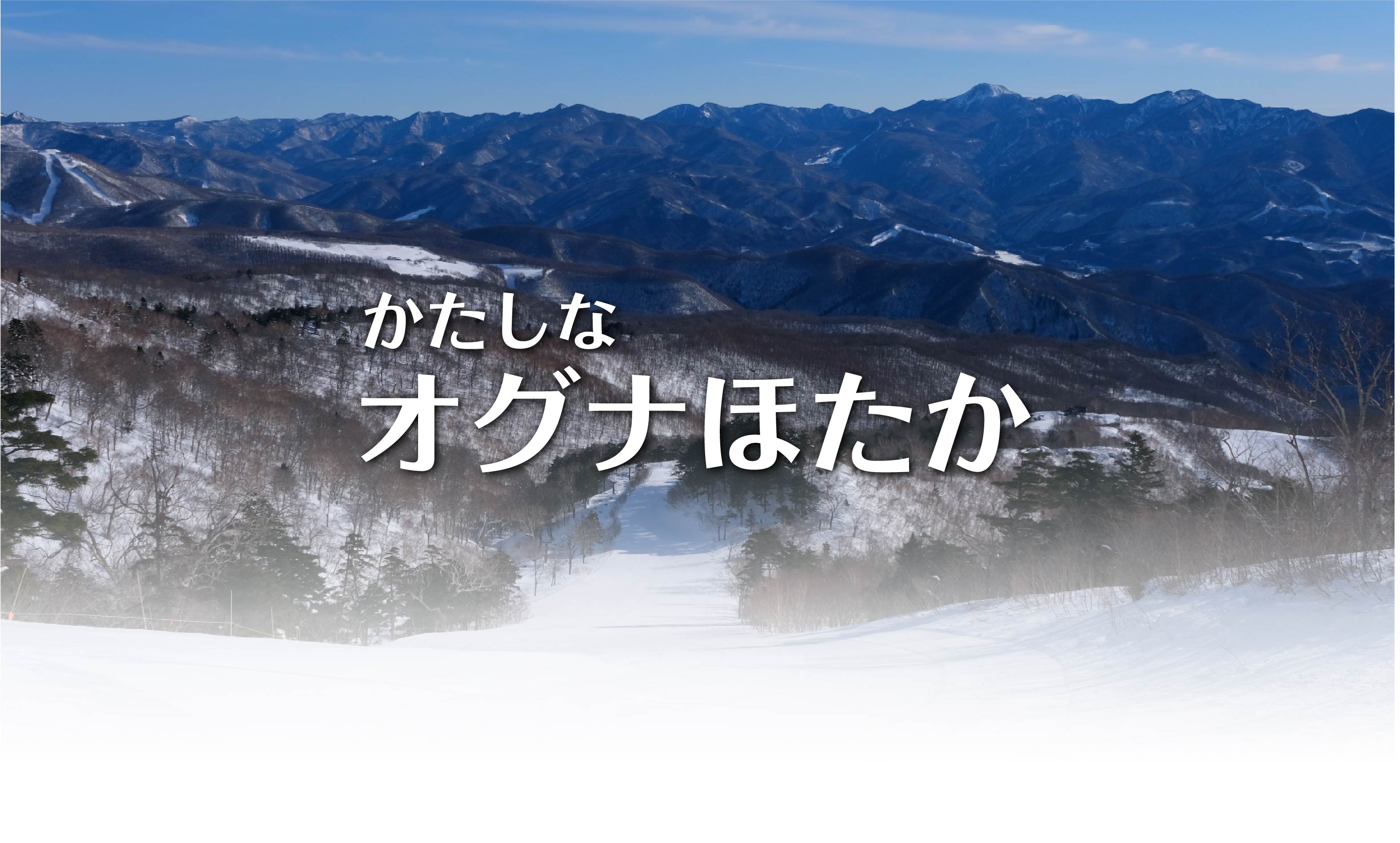 オグナほたかスキー場 早割リフト1日券 メインビジュアル