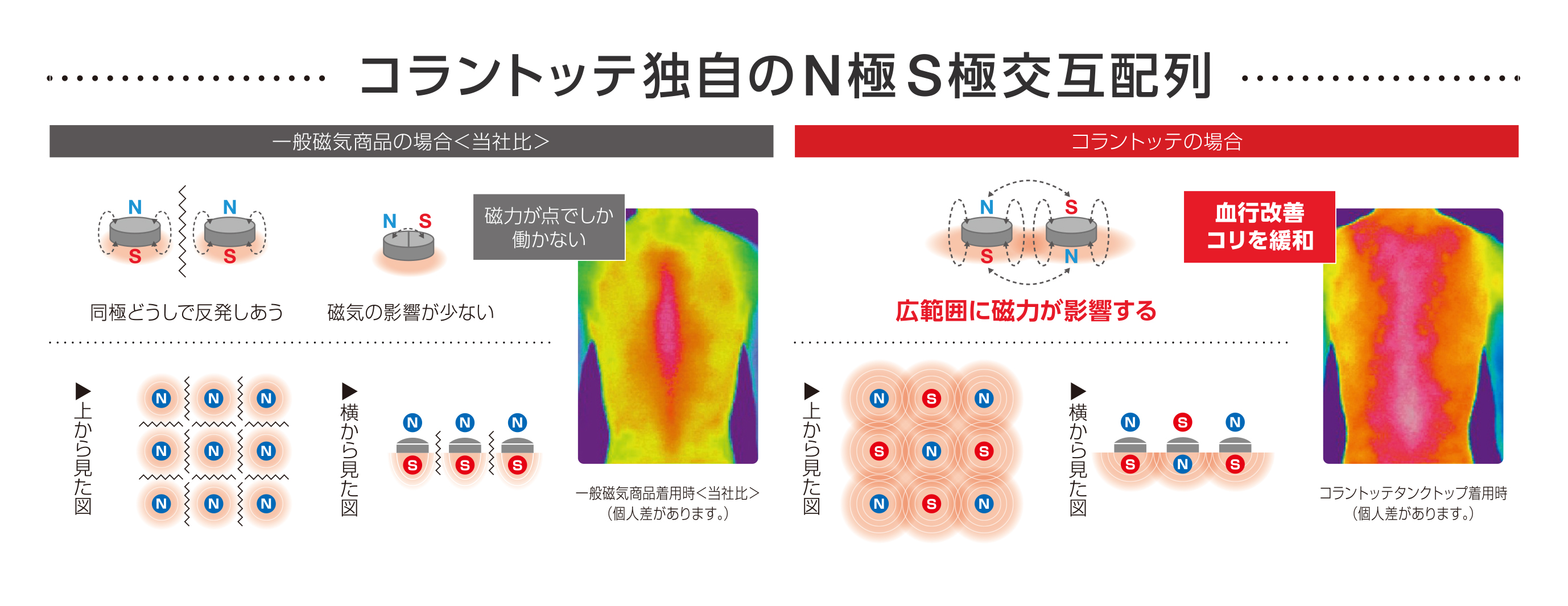 コラントッテ独自のN極S極交互配列