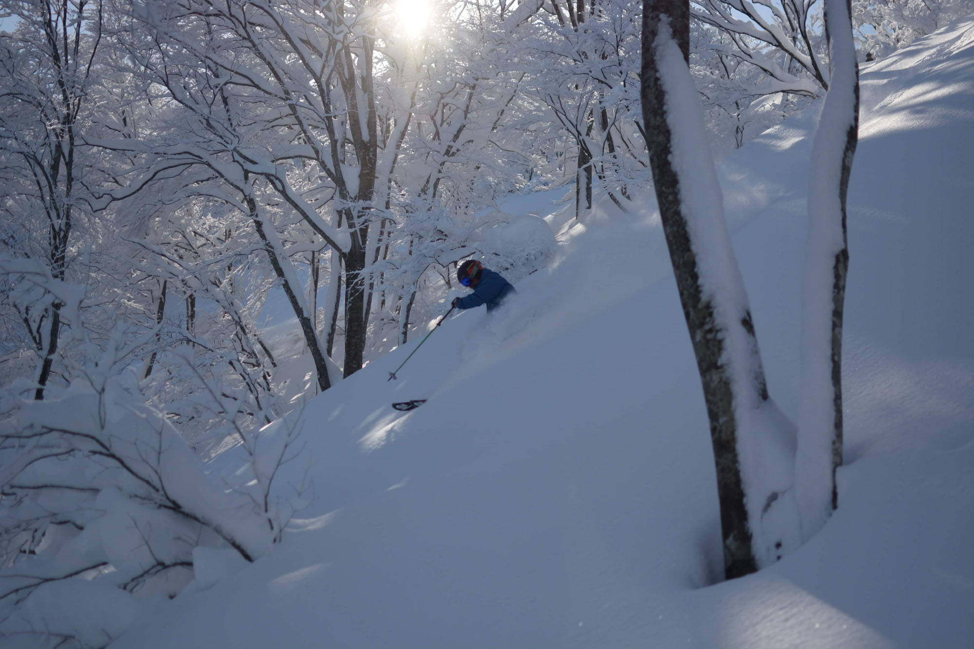 ギャラリー画像2