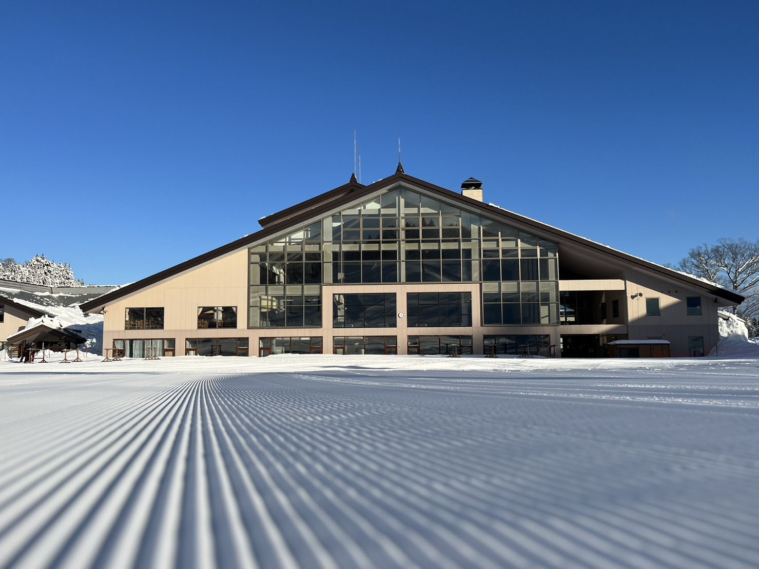 ギャラリー画像1