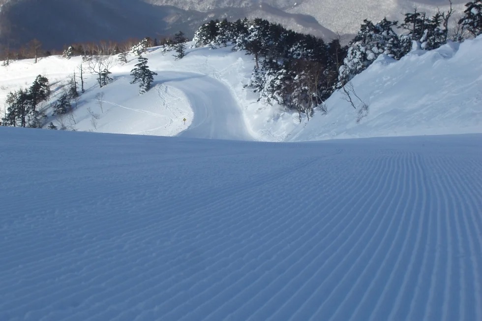 ギャラリー画像7