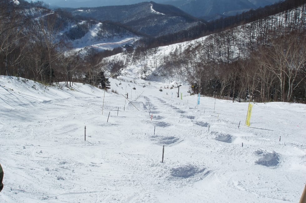 週末はパークレッスンへ