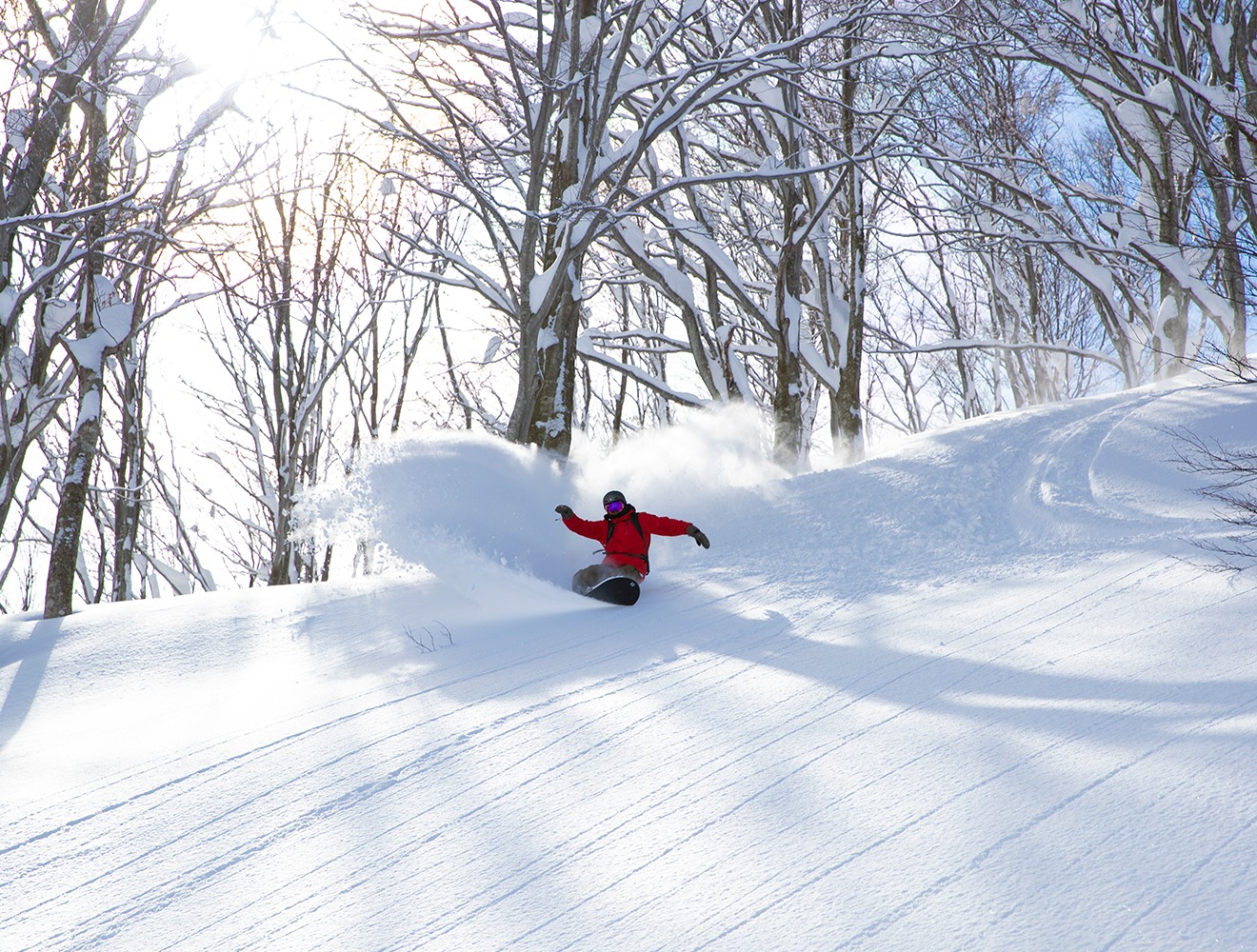 舞子スノーリゾート メインビジュアル