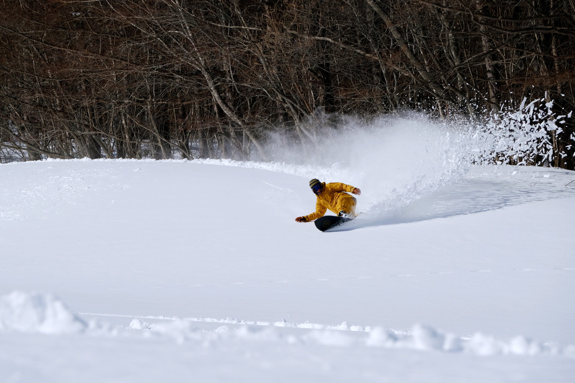 ゲレンデの広大な景色
