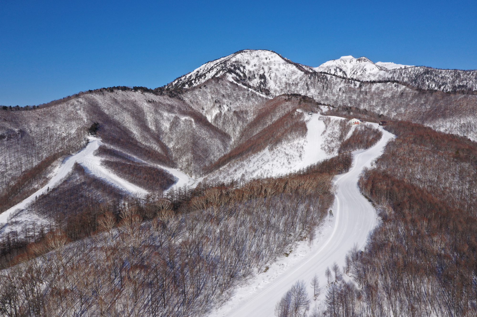 ギャラリー画像1