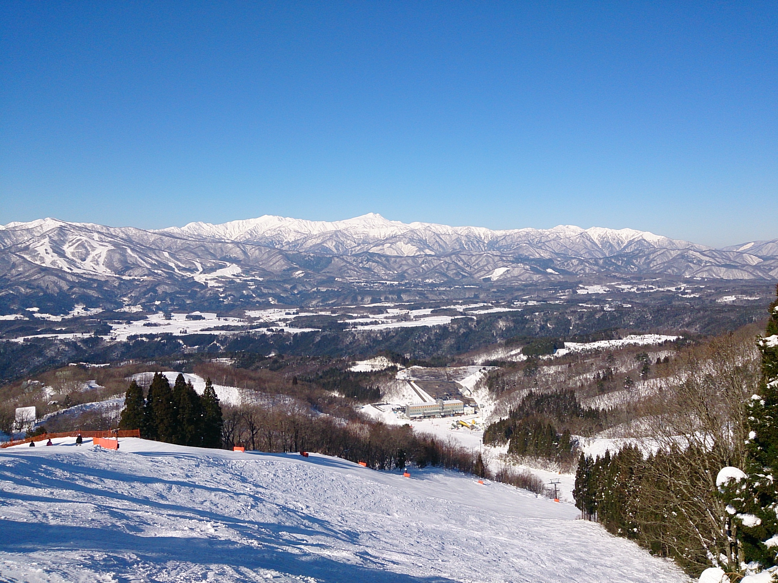 ホワイトピア メインビジュアル
