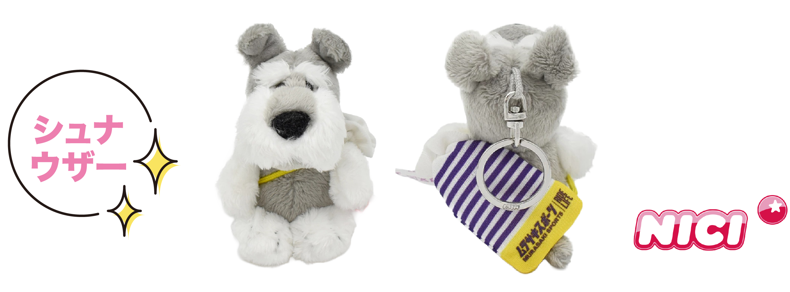 NICI：シュナウザー