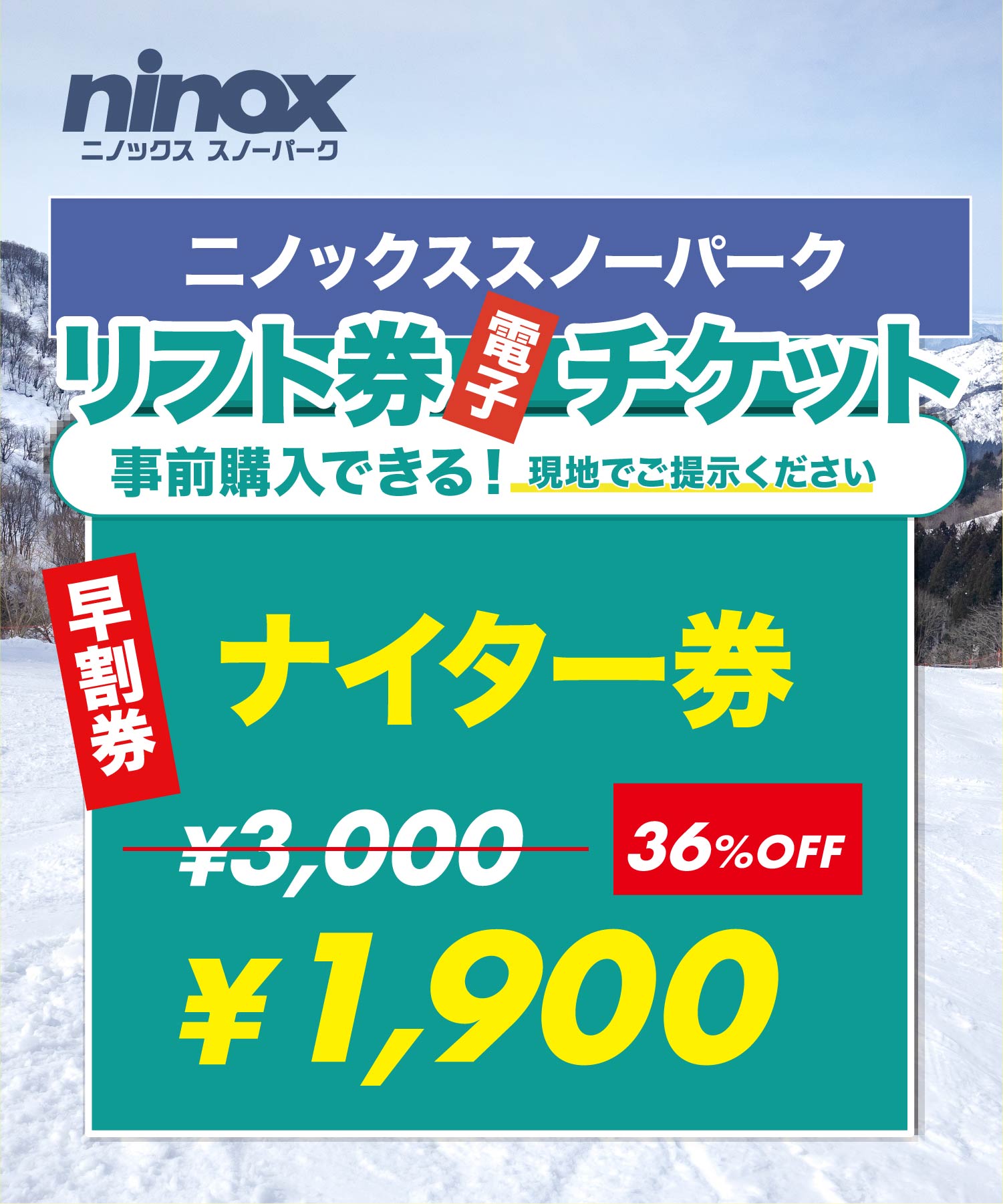 ニノックススノーパーク 1日リフト券　2枚セット ninox ニノックス スノーパーク リフト券 1日券2枚 半額券1枚 公式