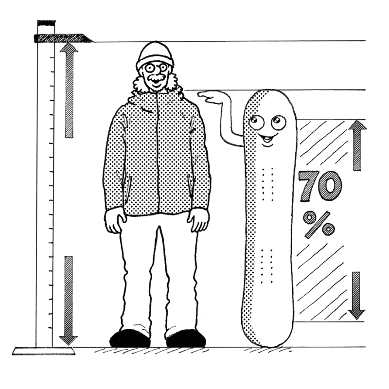 サイズ目安のイラスト