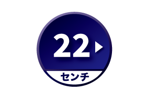 22cm以上