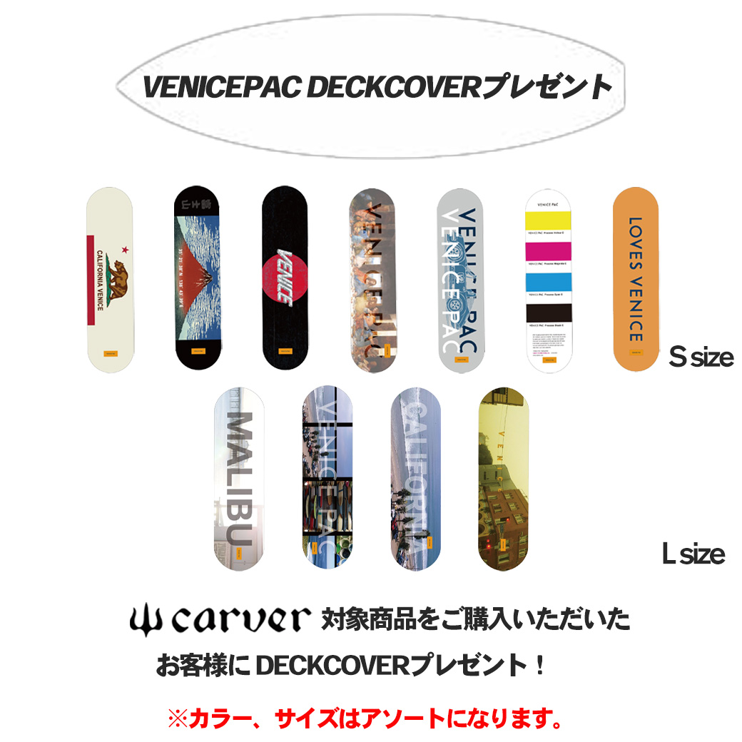 carver カーバースケートボード トラック CX4トラックセット