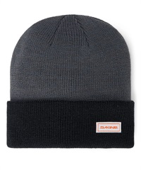 DAKINE ダカイン スノーボード ビーニー ユニセックス JAYDEN BEANIE ムラサキスポーツ 24-25モデル LX L27