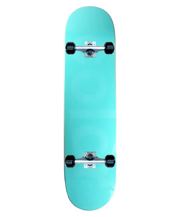 【店頭受取対象外】スケートボード コンプリートセット ColorSkateboard カラースケートボード COLOR COMPLETE EM オンラインストア限定   完成品 組み立て調整済み