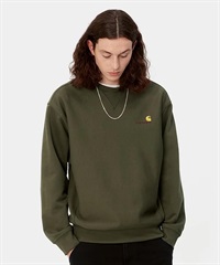 楽天市場】カーハート WIP トレーナー 裏起毛 S M L XL XXL