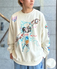 VOLCOM ボルコム DESI A4632305 メンズ トレーナー スウェット