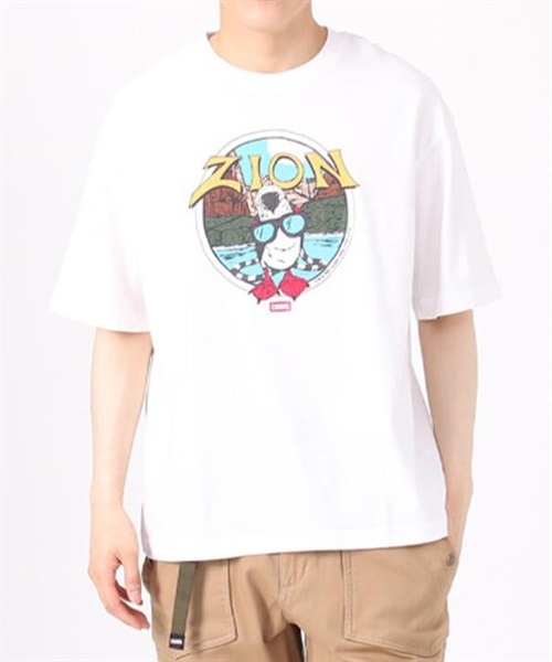 【マトメガイ対象】CHUMS チャムス Oversized ZION Souvenir CHUMS T-Shirt DESI CH01-2183 メンズ 半袖 Tシャツ KK1  F12(WT-M)