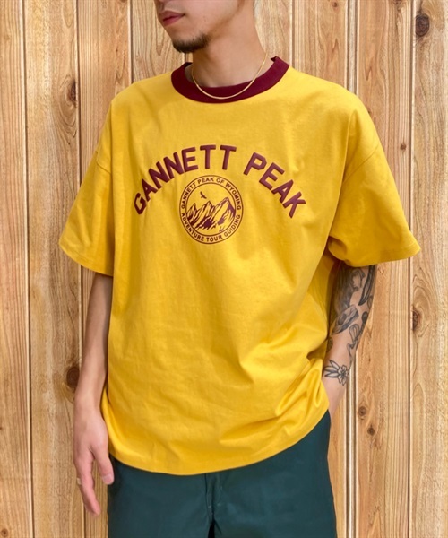 T シャツ 3枚 グンゼ YG in.T カットオフクルーネックTシャツ【YV2613P】Lサイズ