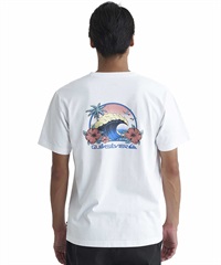 QUIKSILVER クイックシルバー QST241009 メンズ 半袖 Tシャツ ライディングトゥデイ ST バックプリント(WHT-M)