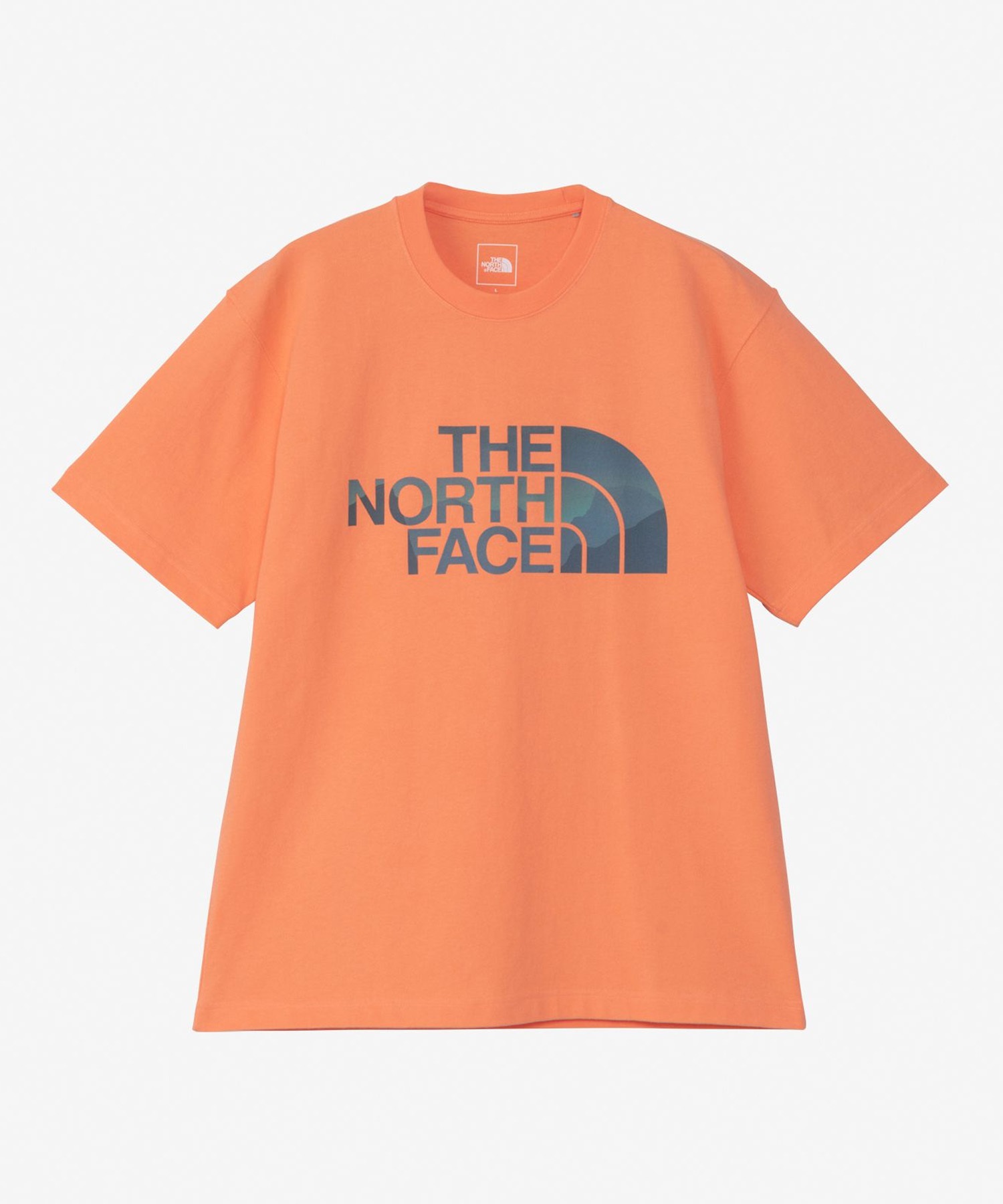 THE NORTH FACE ザ・ノース・フェイス メンズ Tシャツ 半袖 ショート