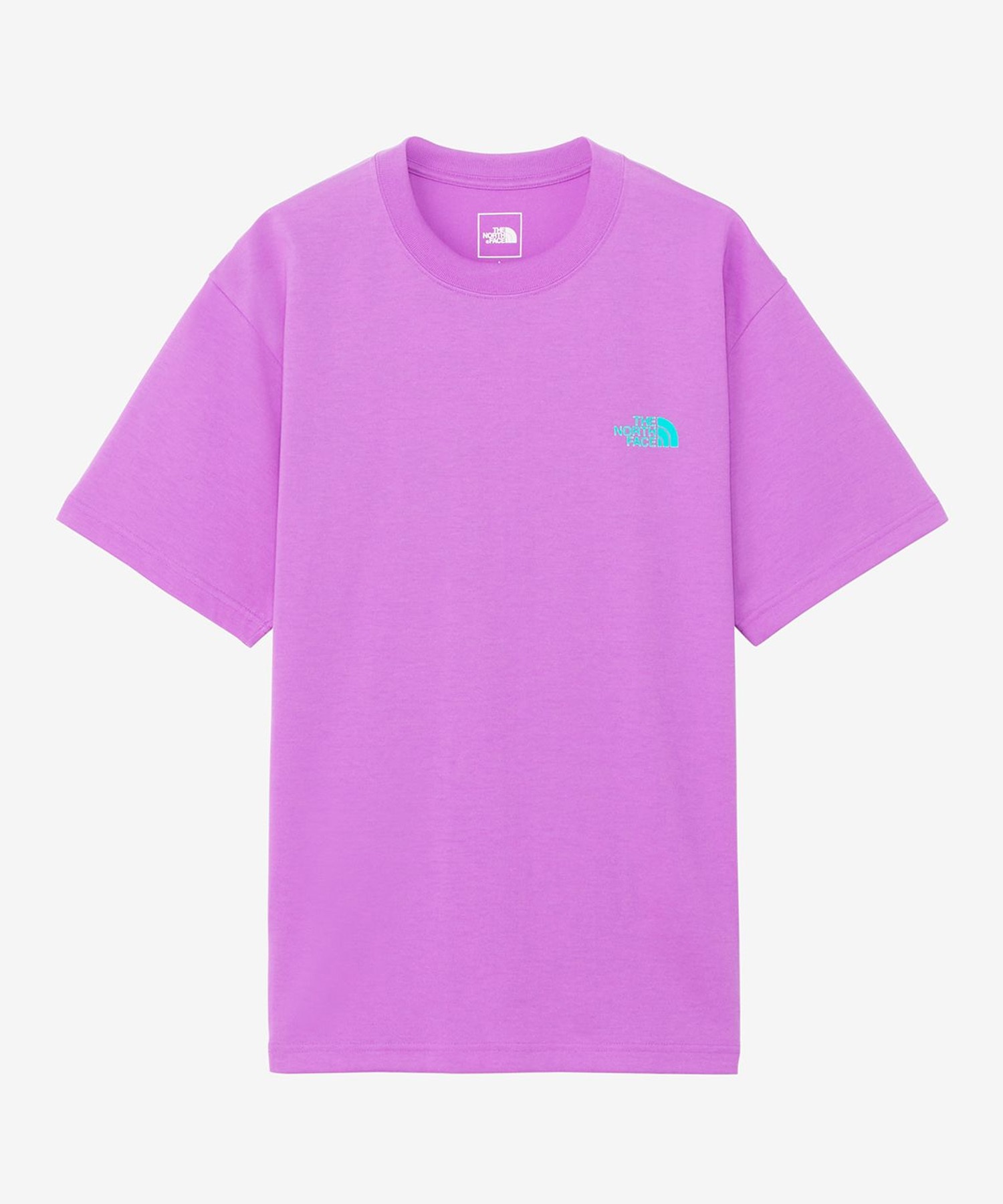 THE NORTH FACE ザ・ノース・フェイス メンズ Tシャツ 半袖 ショート
