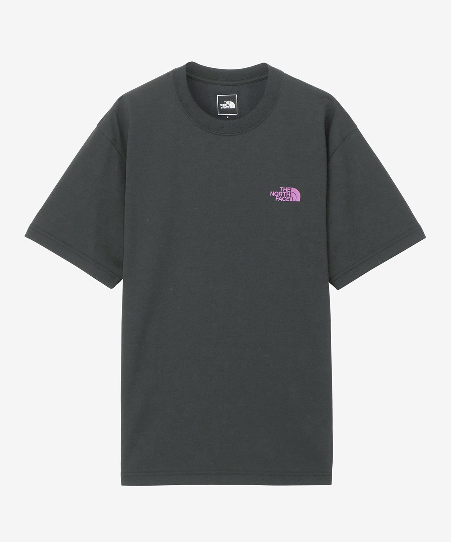 THE NORTH FACE ザ・ノース・フェイス メンズ Tシャツ 半袖